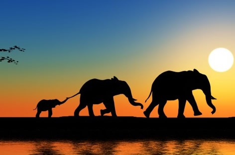 foto de SUDÁFRICA con SAFARI y PLAYAS